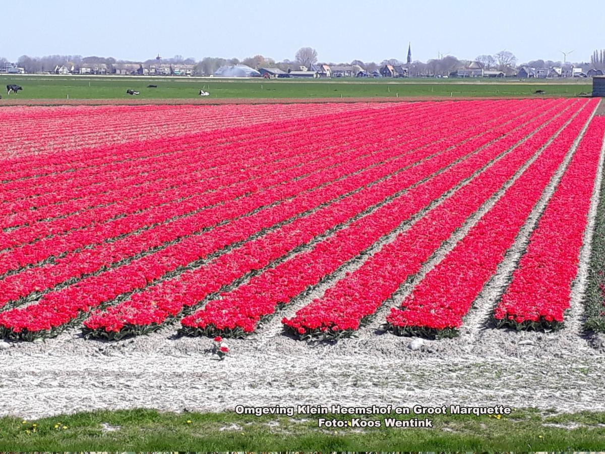 Klein Heemshof - Noord Holland Aan Uw Voeten 瓦门赫伊曾 外观 照片