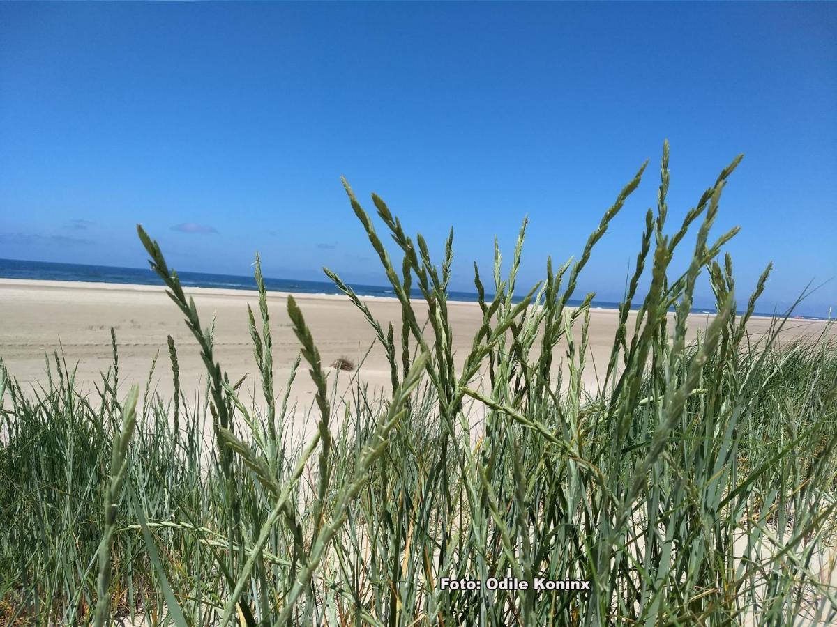 Klein Heemshof - Noord Holland Aan Uw Voeten 瓦门赫伊曾 外观 照片